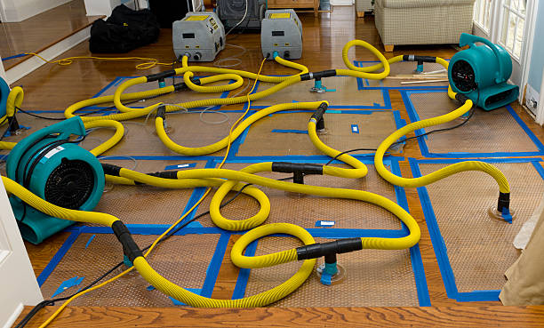 Professional Crawl Space Water Removal technician working in Hartland, MI